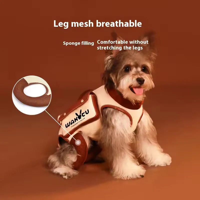 Pet carrier shoulder bag