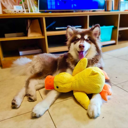 Calming Duck Toy 🐥