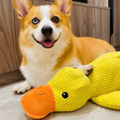 Calming Duck Toy 🐥