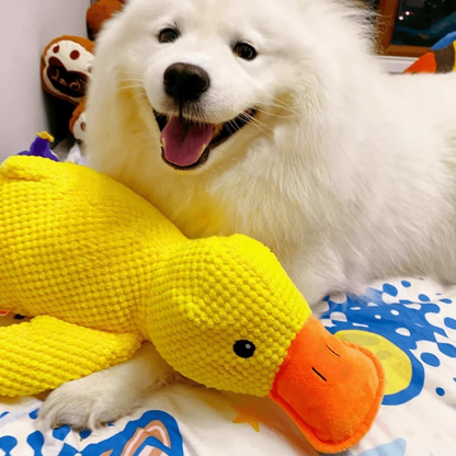 Calming Duck Toy 🐥